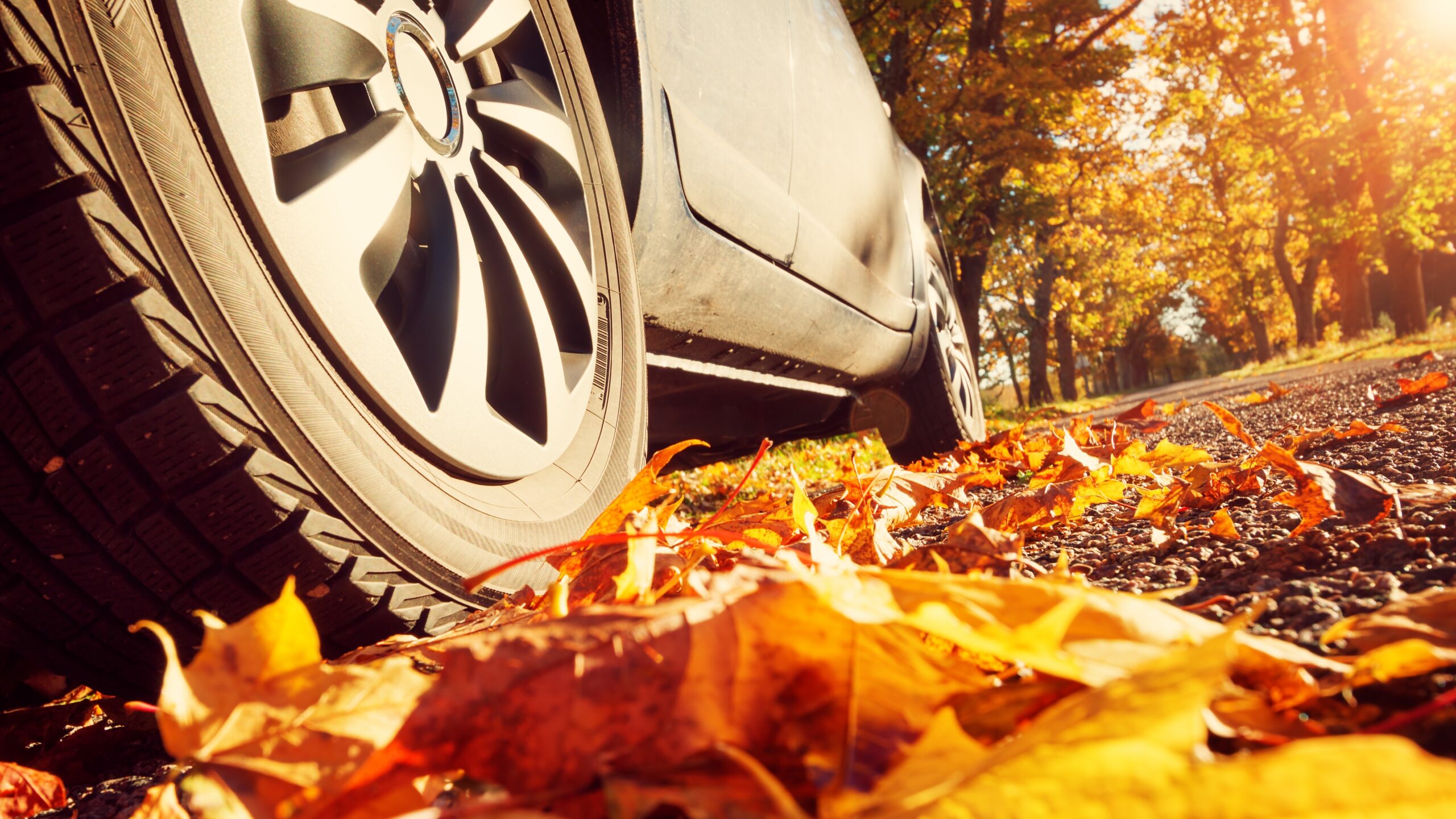 Осенний останавливаться. Осень автомобиль. Осенняя листва на автомобиле. Машина в осенних листьях. Машины на осеннем фоне.