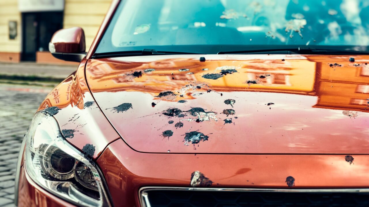 Kui auto jääb lindude rünnaku alla: sõidukile langenud väljaheited võivad sellele korralikult kahju teha